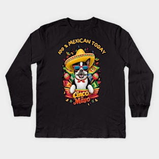 Boston Terrier Dog Cinco de Mayo Kids Long Sleeve T-Shirt